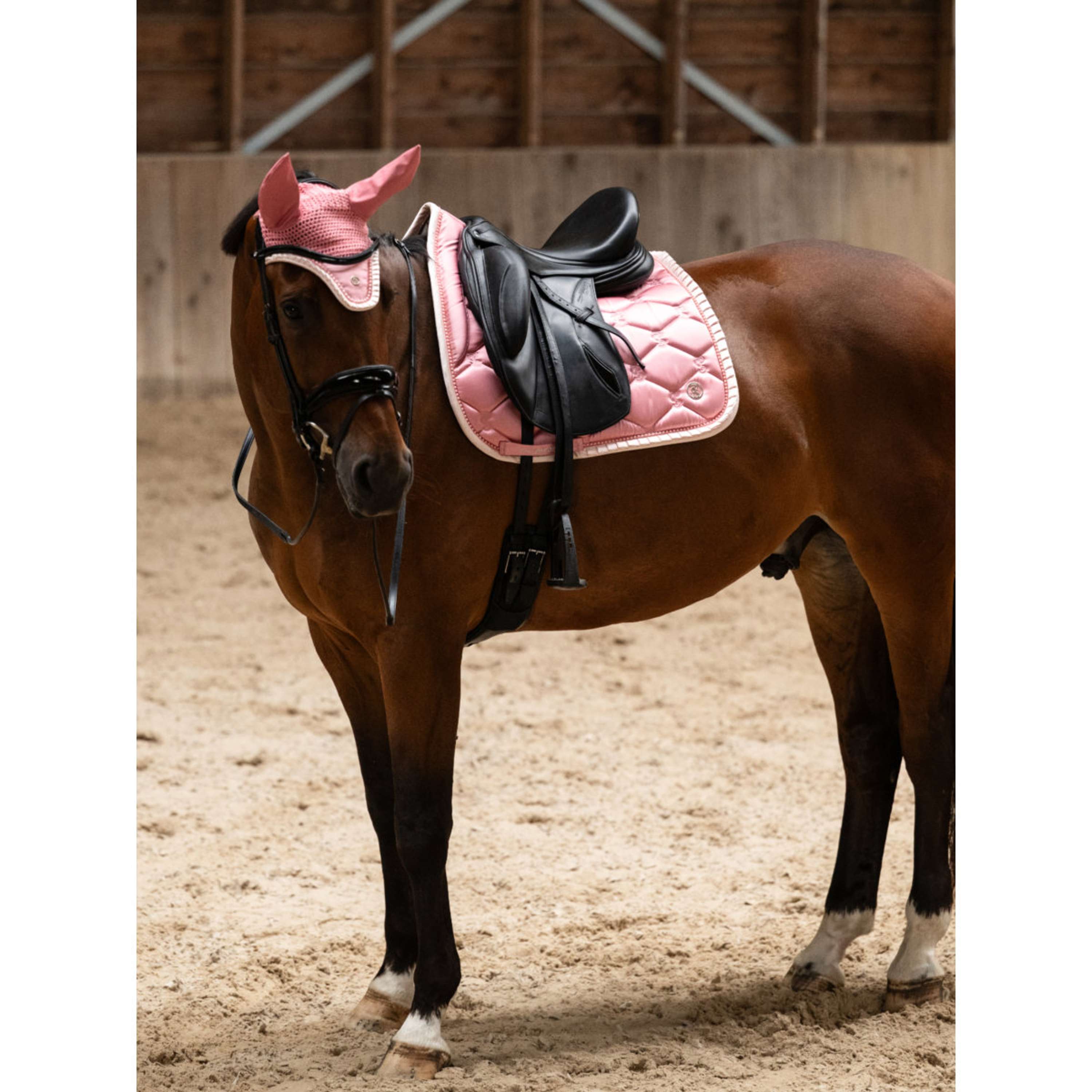 PS of Sweden Sottosella Ruffle Pearl Dressage Vintage Pink
