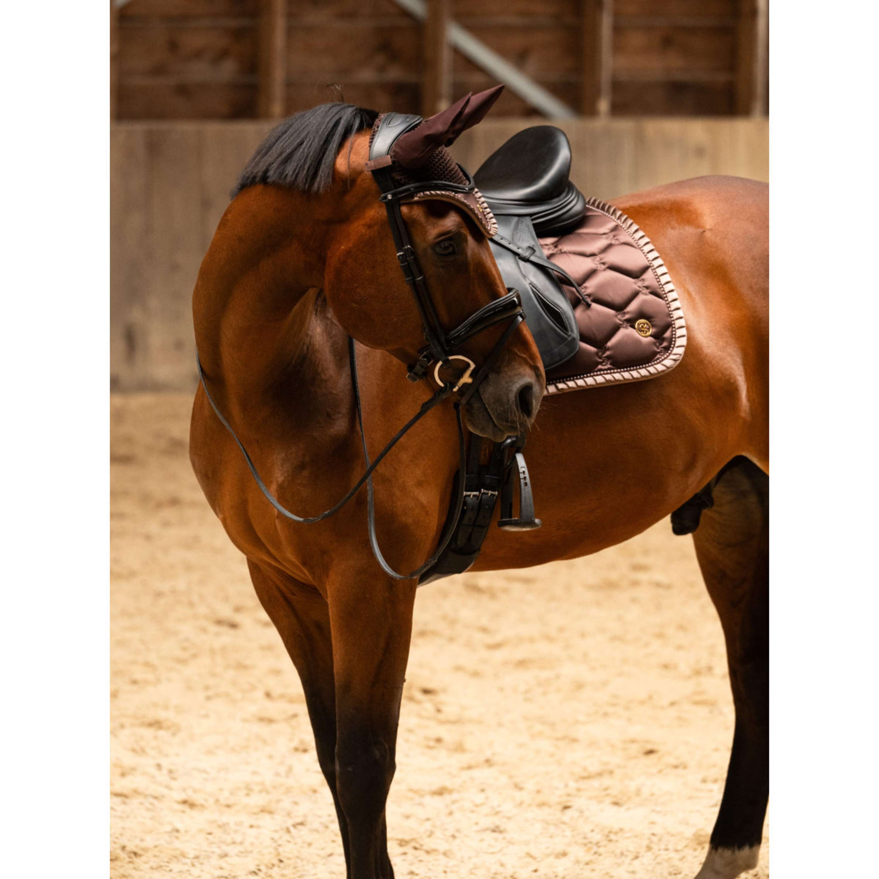PS of Sweden Sottosella Ruffle Pearl Dressage Marrone Terra