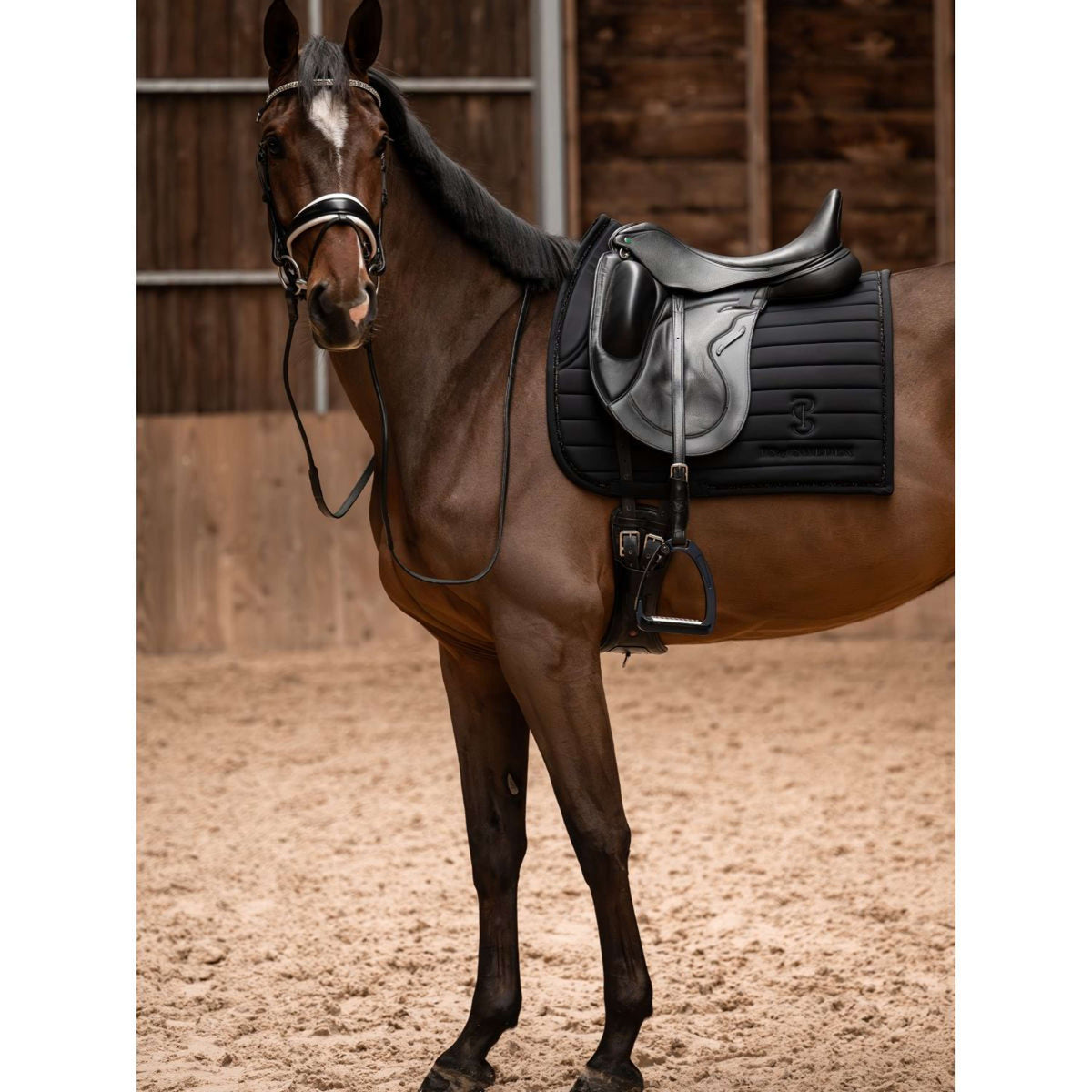 PS of Sweden Sottosella Stripe Dressage Nero