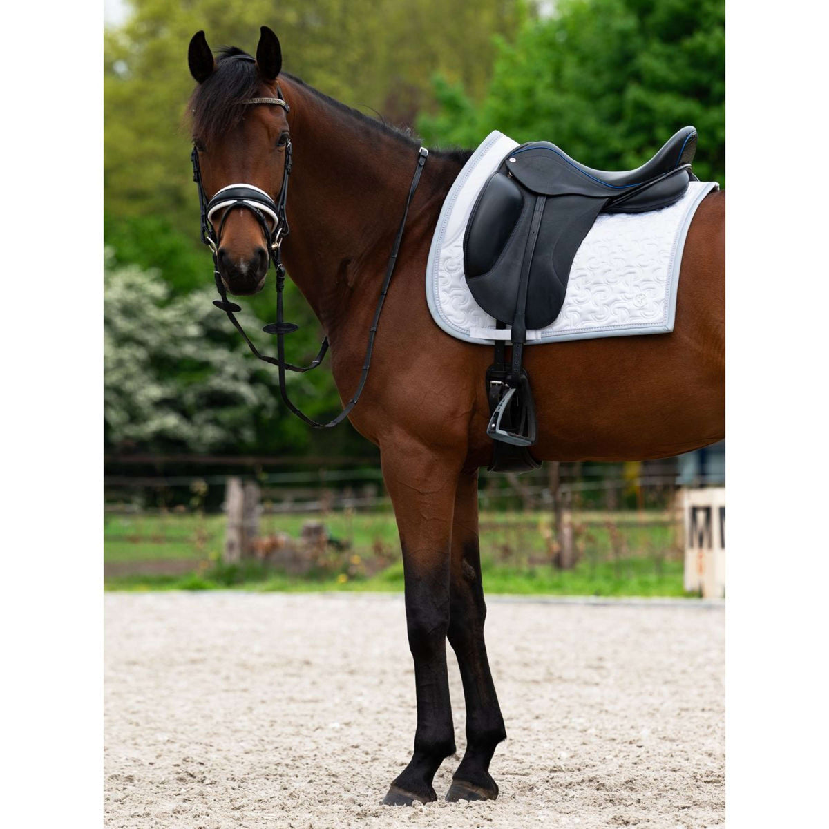 PS of Sweden Sottosella Crystal Dressage Bianco