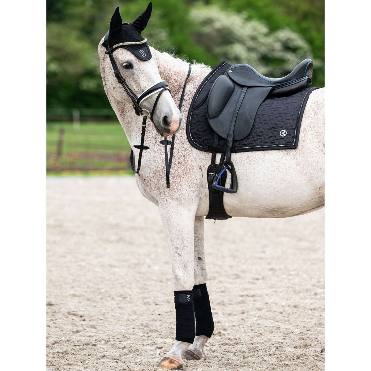 PS of Sweden Sottosella Crystal Dressage Nero
