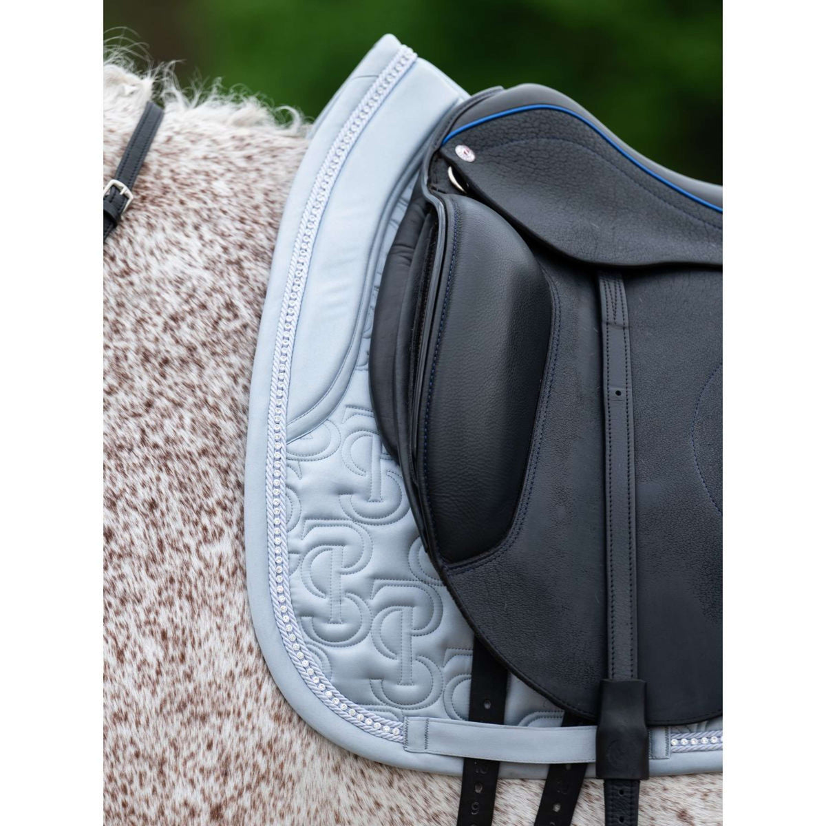 PS of Sweden Sottosella Crystal Dressage Blue Whisper