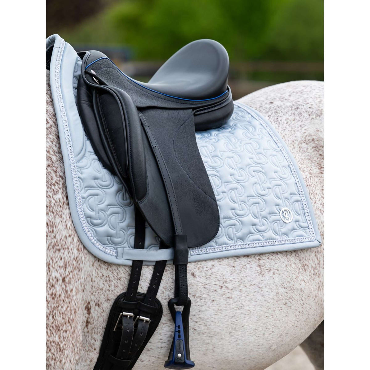 PS of Sweden Sottosella Crystal Dressage Blue Whisper