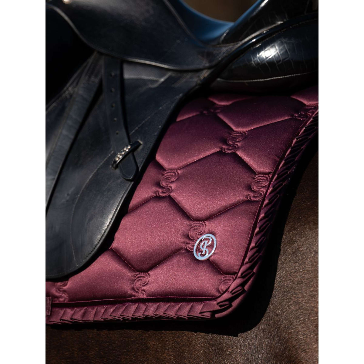 PS of Sweden Sottosella Ruffle Dressage Prugna