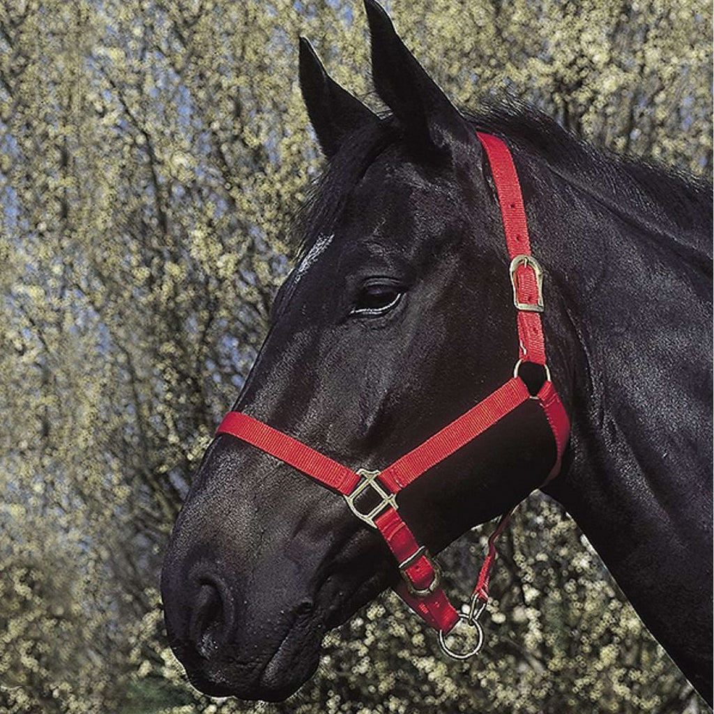 Riding World Cavezza Rosso
