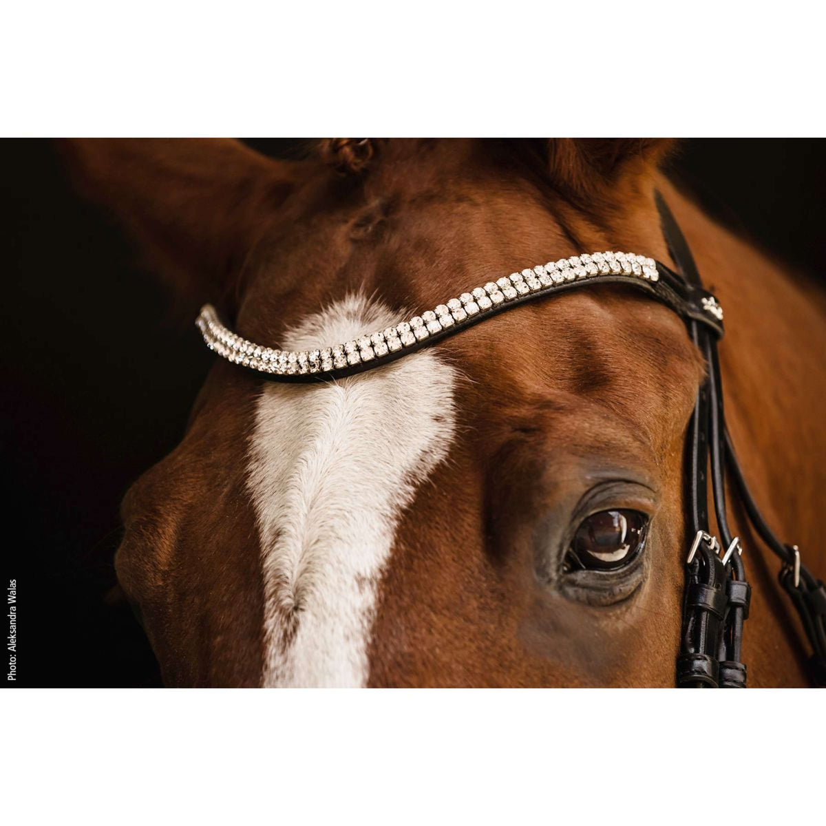 Schockemöhle Filetto SP Isabell Werth Johnny Nero/Argento