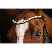 Schockemöhle Filetto SP Isabell Werth Johnny Nero/Argento