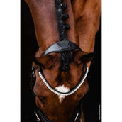 Schockemöhle Filetto SP Isabell Werth Johnny Nero/Argento