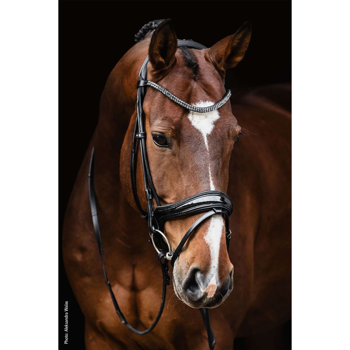 Schockemöhle Filetto SP Isabell Werth Satchmo Nero/Vernice/Argento