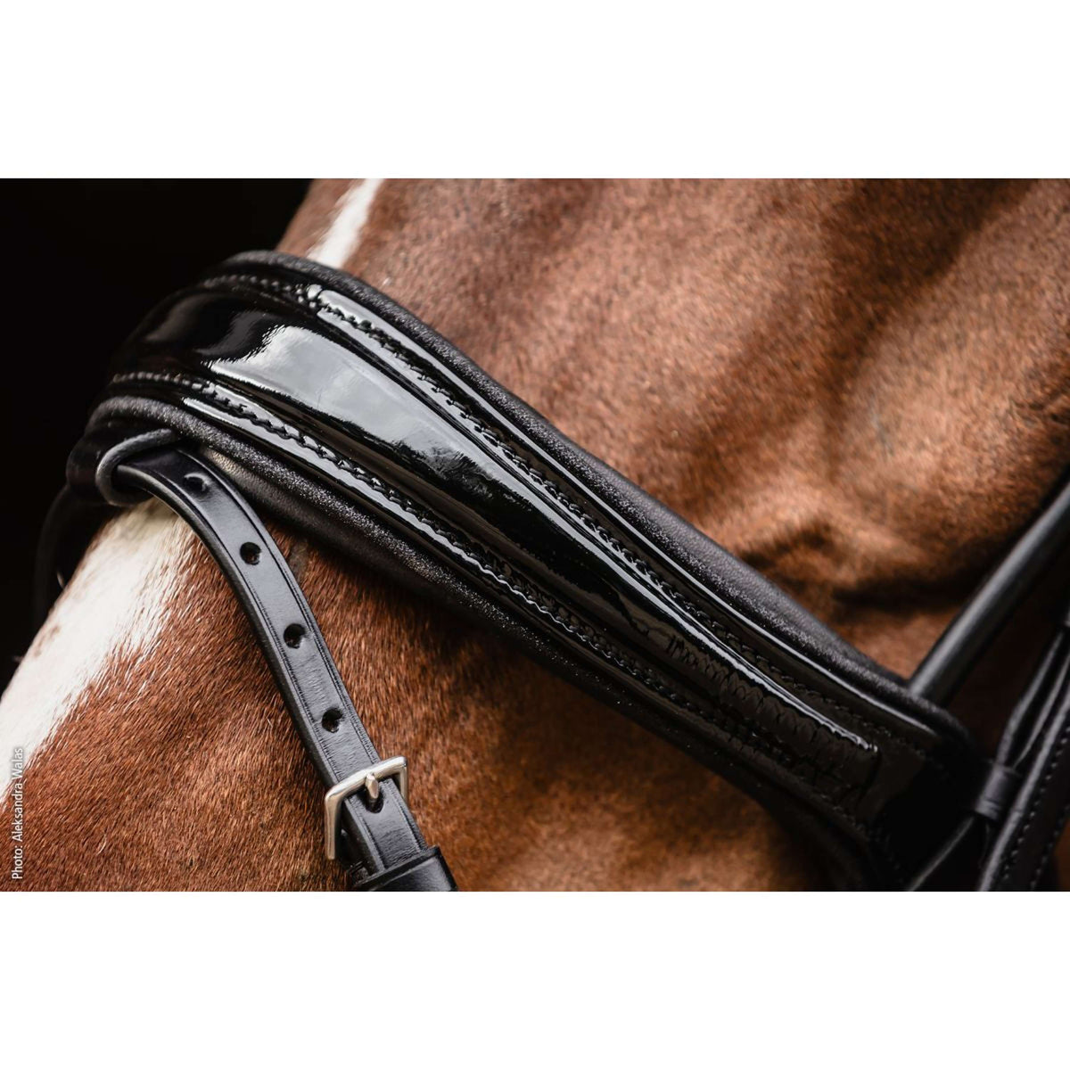 Schockemöhle Filetto SP Isabell Werth Satchmo Nero/Vernice/Argento