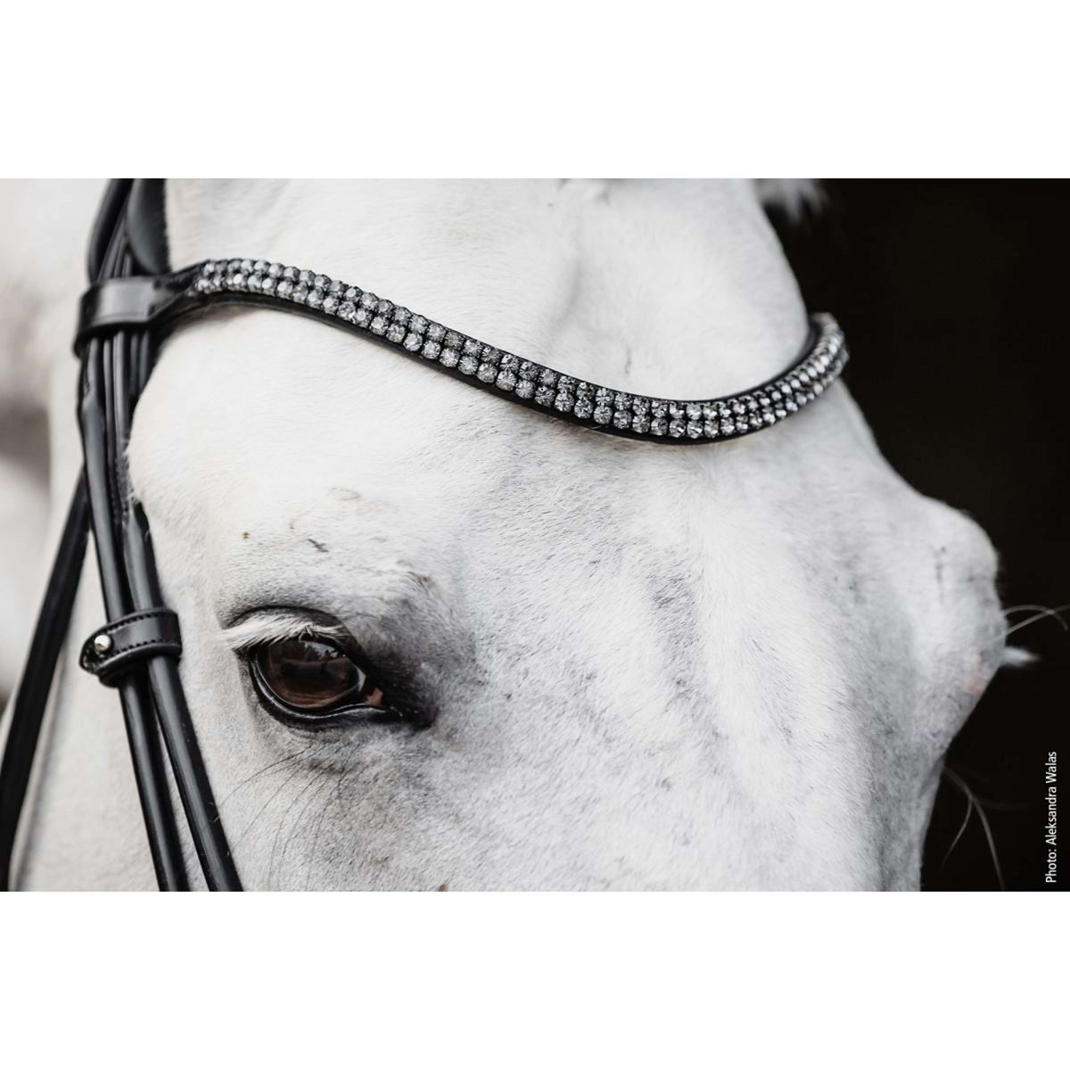 Schockemöhle Filetto SP Isabell Werth Satchmo Nero/Vernice/Argento