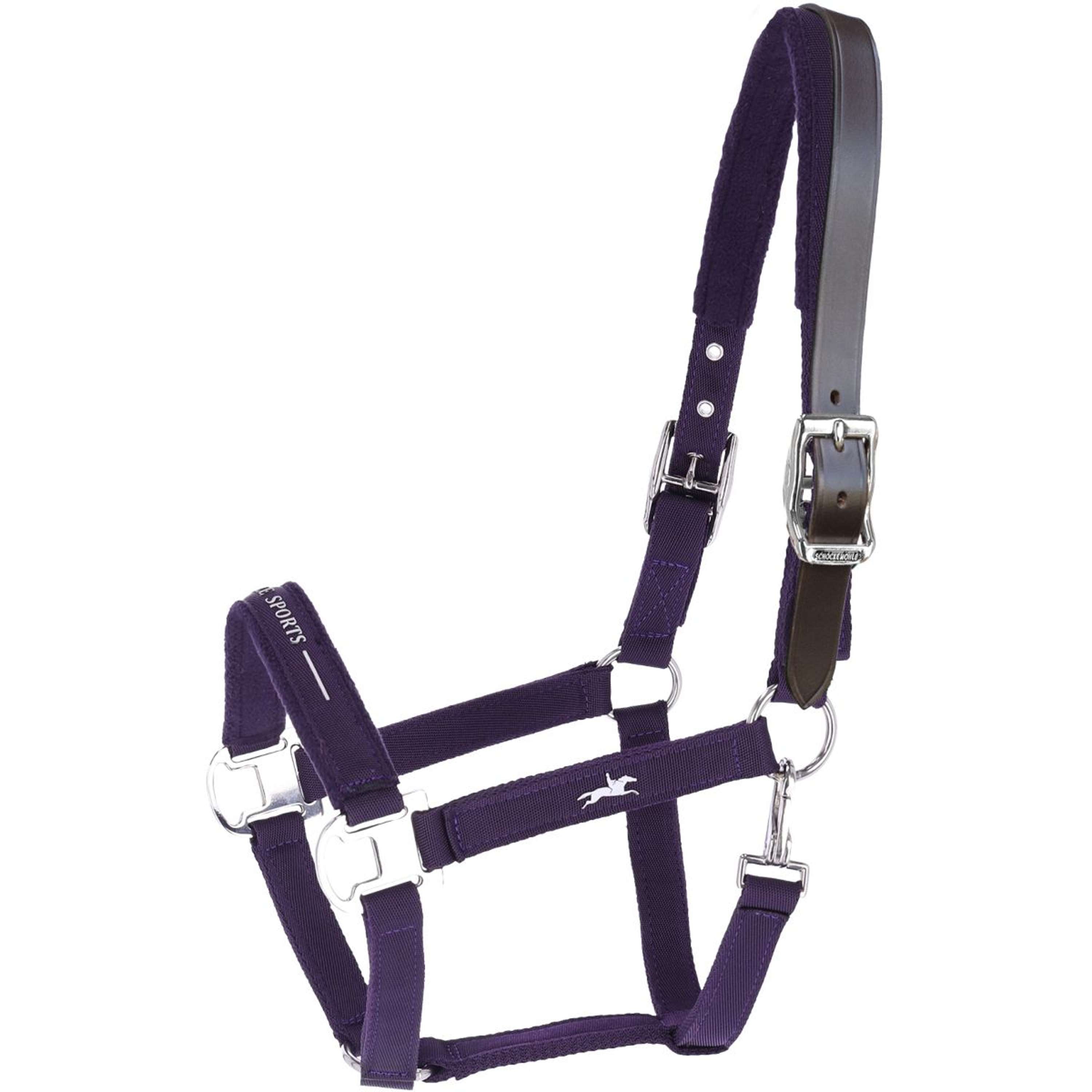 Schockemöhle Cavezza Memphis III Viola scuro