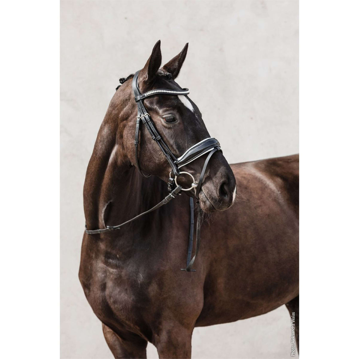 Schockemöhle Briglia Malibu Nero/Vernice/Bianco/Argento