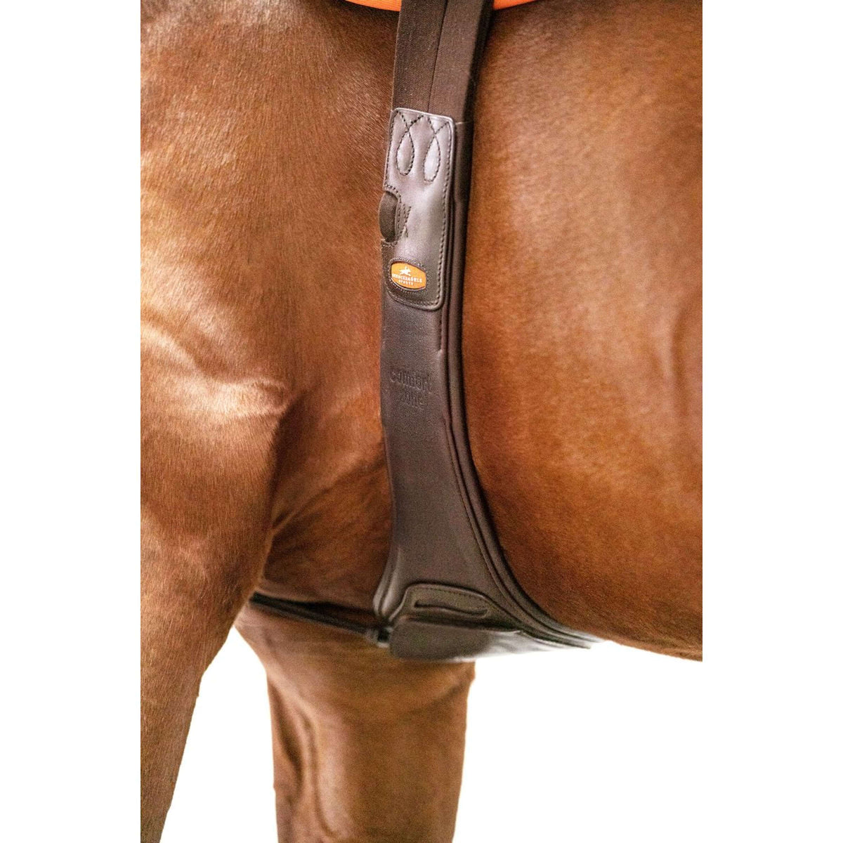 Schockemöhle Sottopancia Portland Espresso/Argento