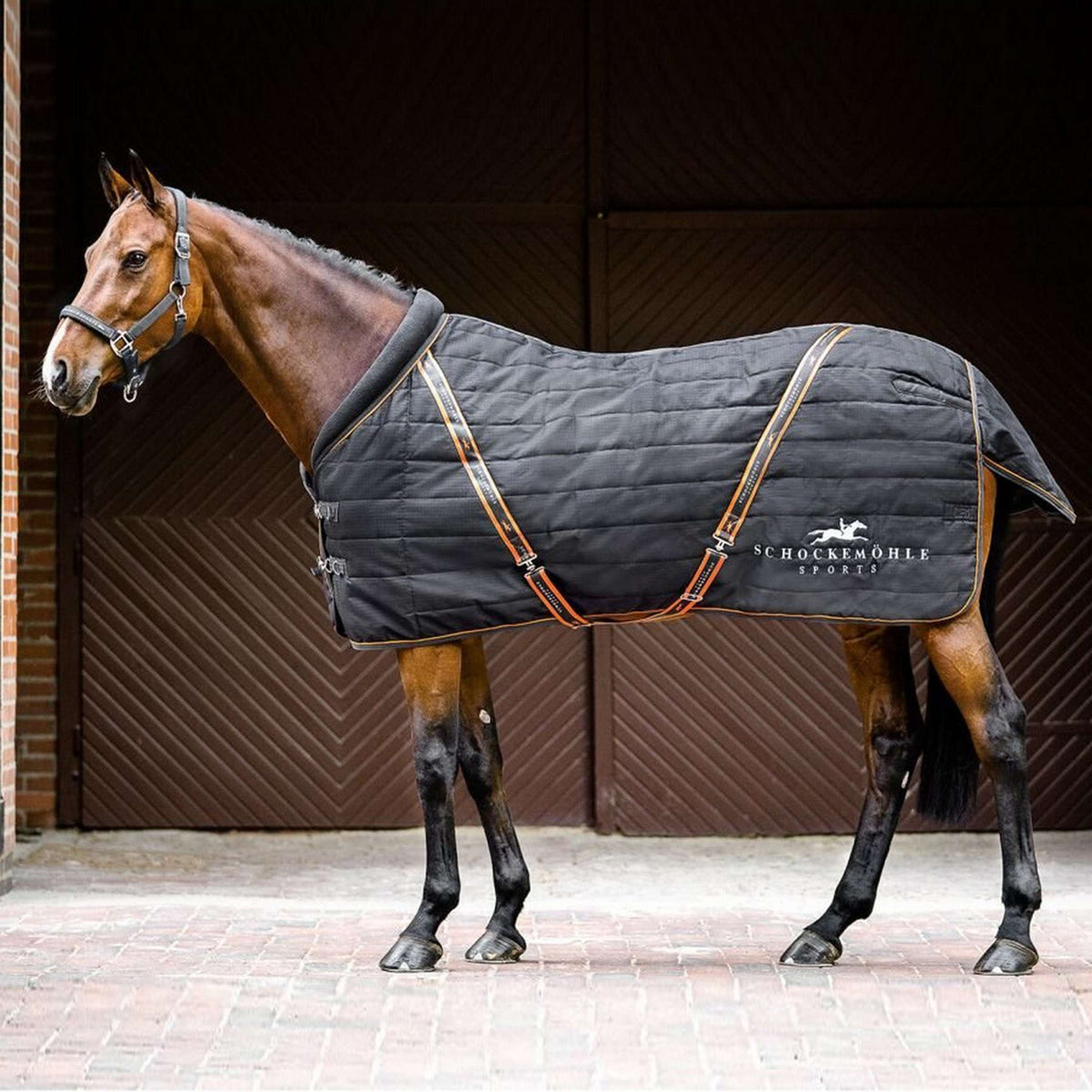 Schockemöhle Coperta Invernale New Alltime 400g Graphite