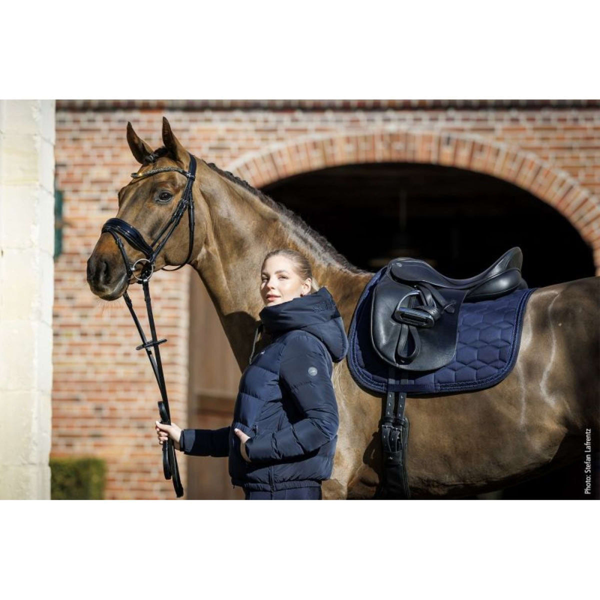 Schockemöhle Sottosella High Density Dressage Marina oscura