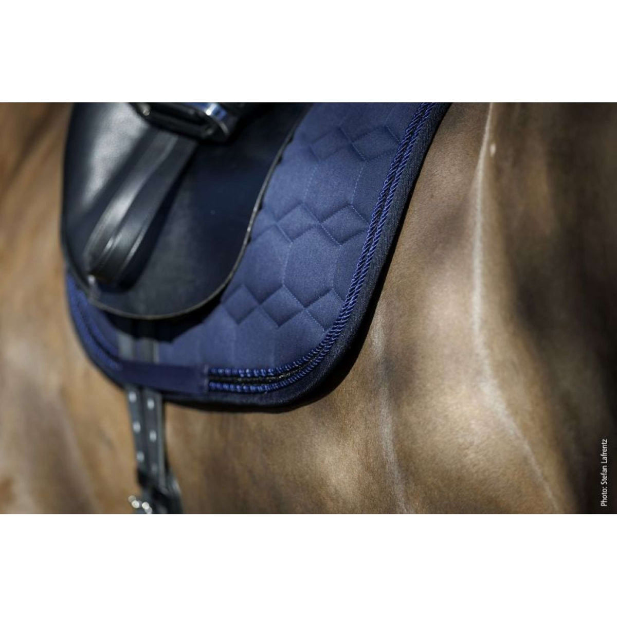 Schockemöhle Sottosella High Density Dressage Marina oscura