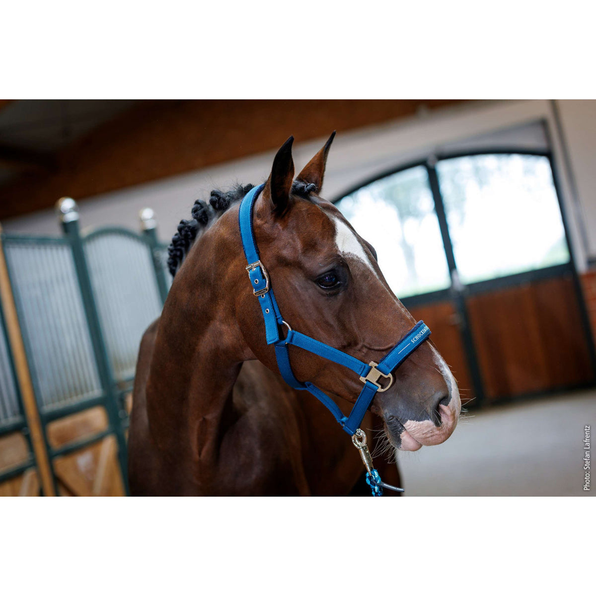 Schockemöhle Capezzina SP Memphis Style III Colonial Blue