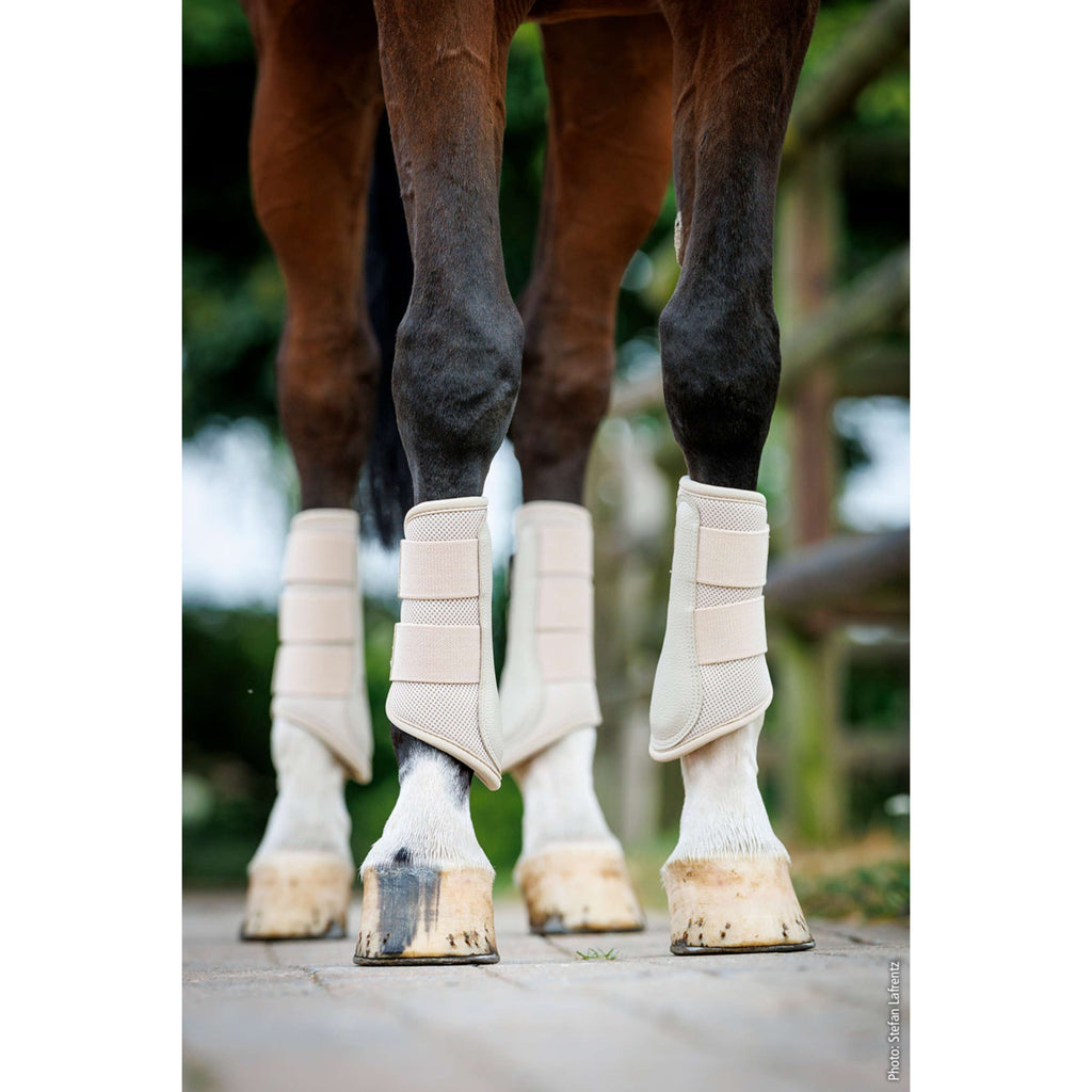 Schockemöhle Stivali da dressage SP Mesh Guards Style Calcolo