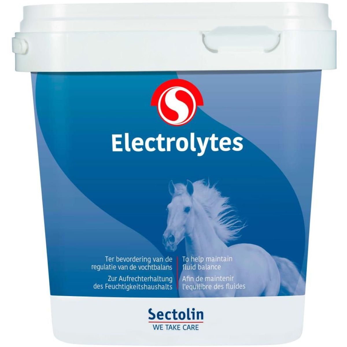 Sectolin Elettroliti