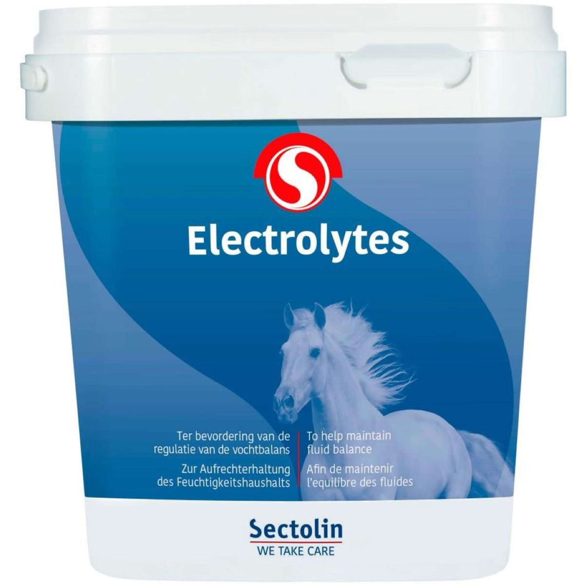 Sectolin Elettroliti