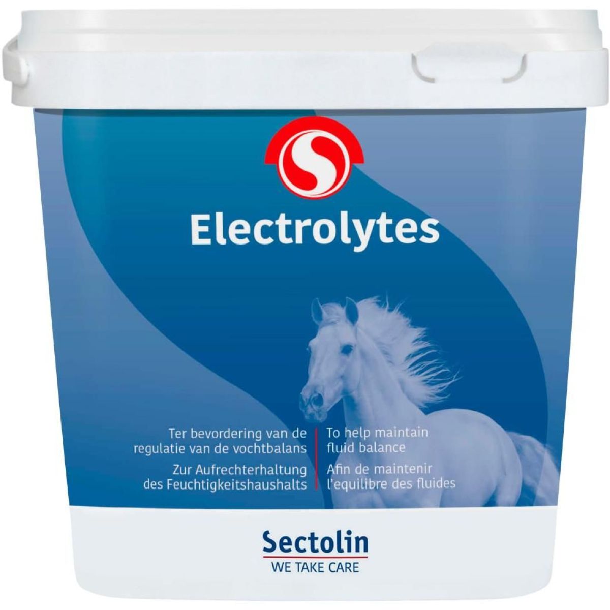 Sectolin Elettroliti