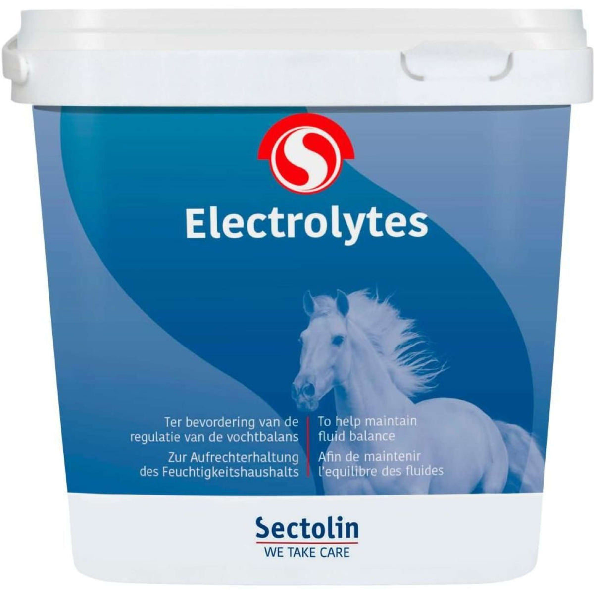 Sectolin Elettroliti