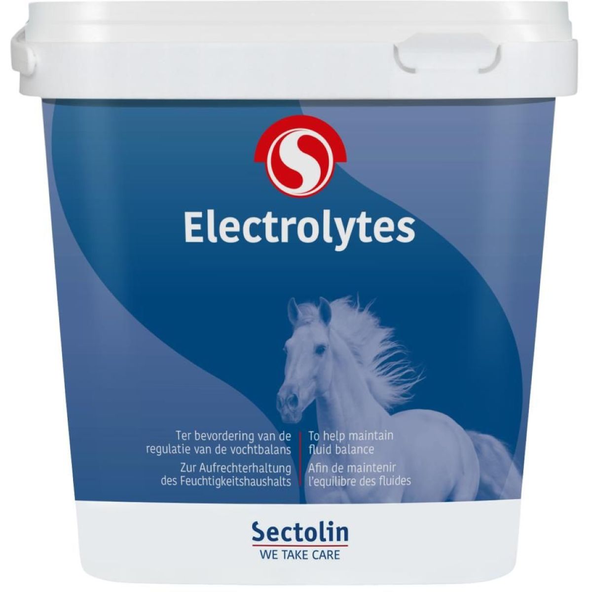 Sectolin Elettroliti