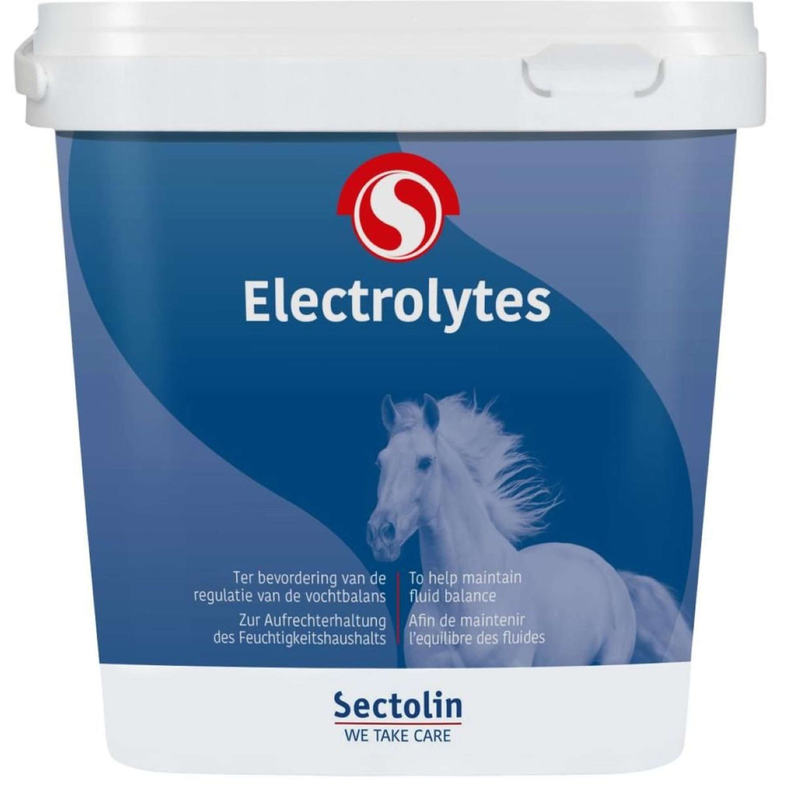 Sectolin Elettroliti Sectolin Elettroliti