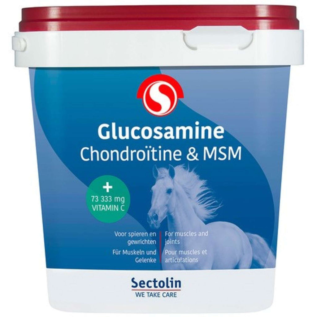 Sectolin Glucosamina Equivital