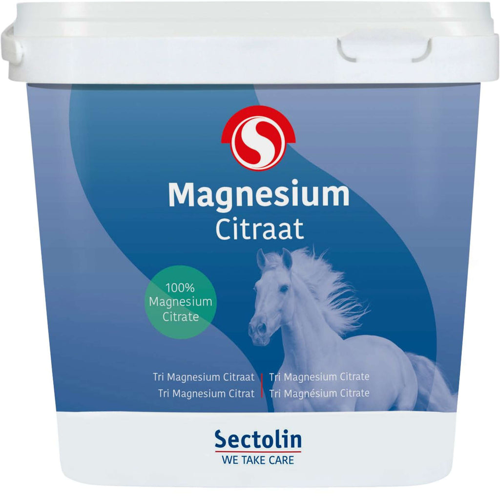 Sectolin Magnesio Equivital