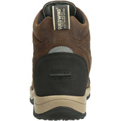 Suedwind Stivaletto Field FZ GripFTX Cioccolato
