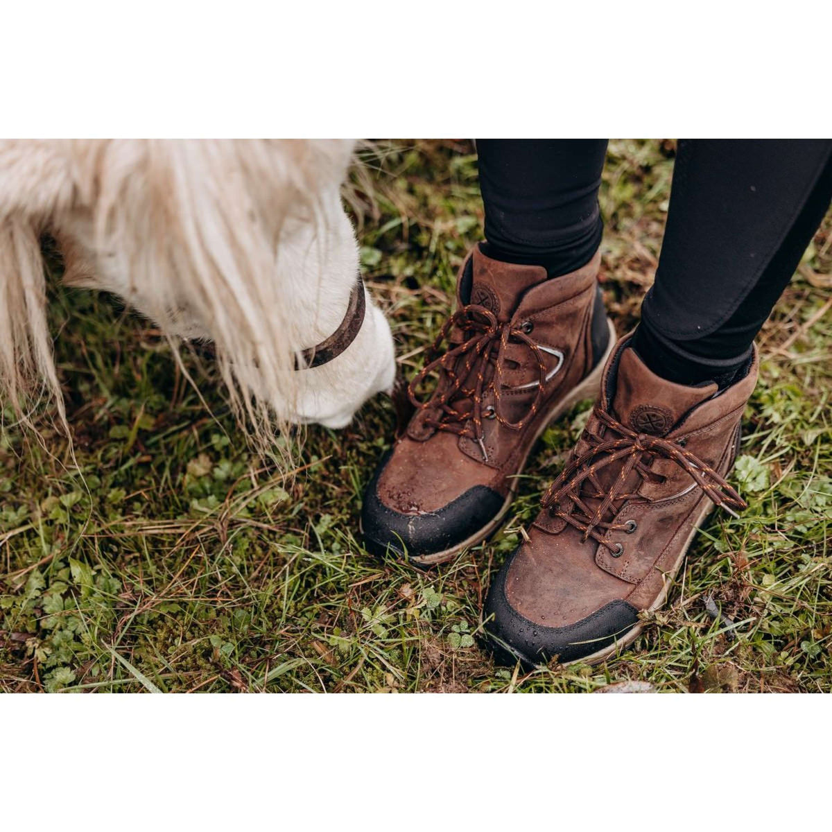 Suedwind Stivaletto Field Lace GripFTX Cioccolato