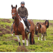 Aubrion by Shires Maglione Heritage Fleece Oliva scura
