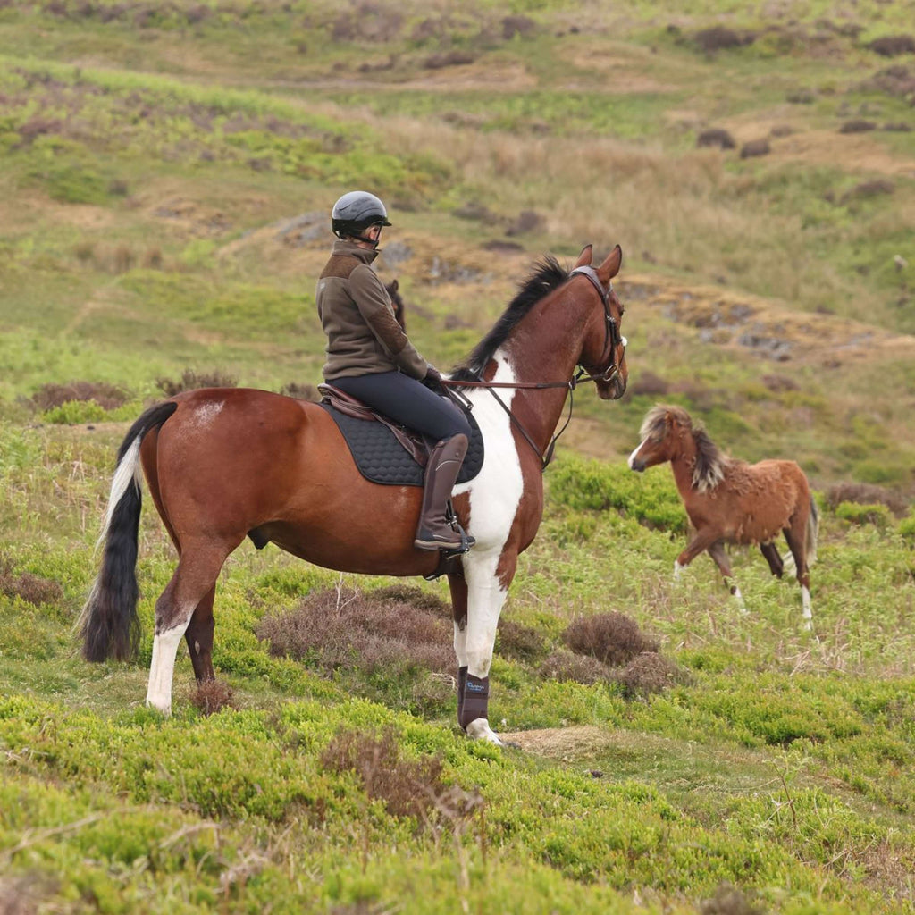 Aubrion by Shires Maglione Heritage Fleece Oliva scura