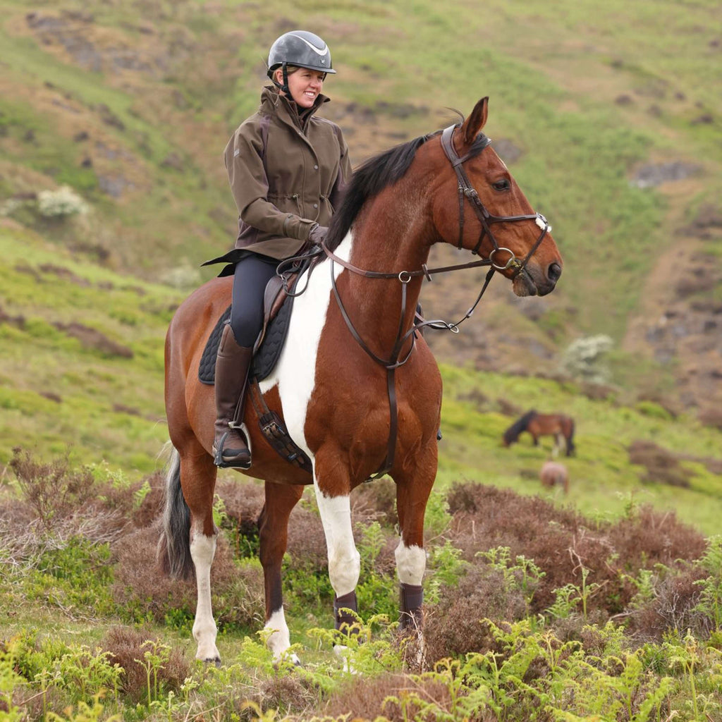 Aubrion by Shires Giacca Heritage Oliva scura