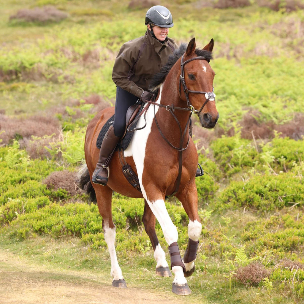 Aubrion by Shires Pullover Heritage Oliva scura