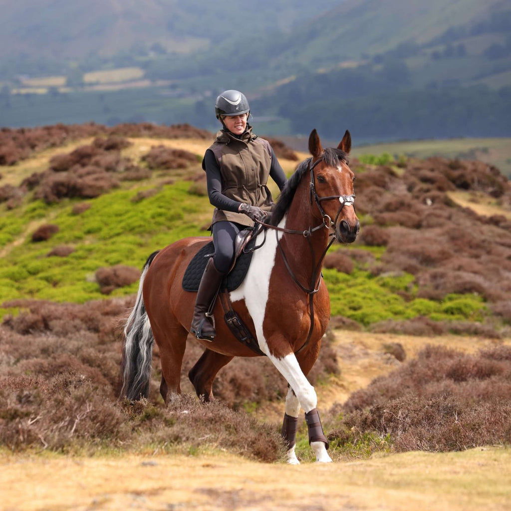Aubrion by Shires Gilet Heritage Oliva scura