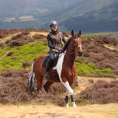 Aubrion by Shires Gilet Heritage Oliva scura