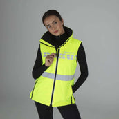 Equi-Flector by Shires Gilet Riflettente Giallo