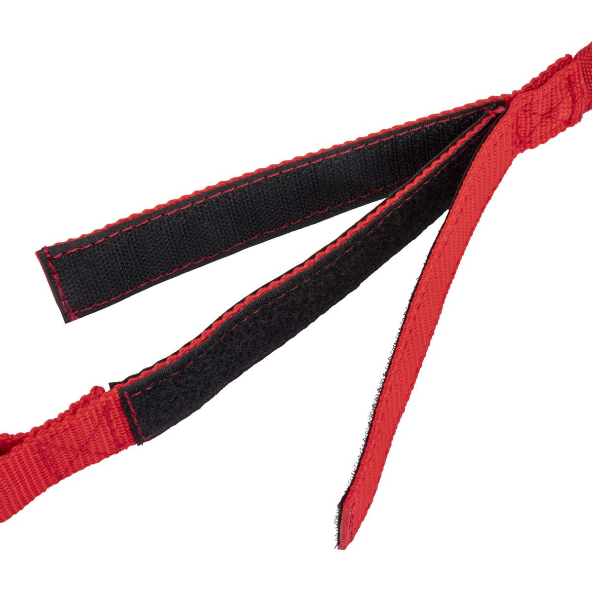 Shires Corda di fissaggio Bungee Breakaway Rosso
