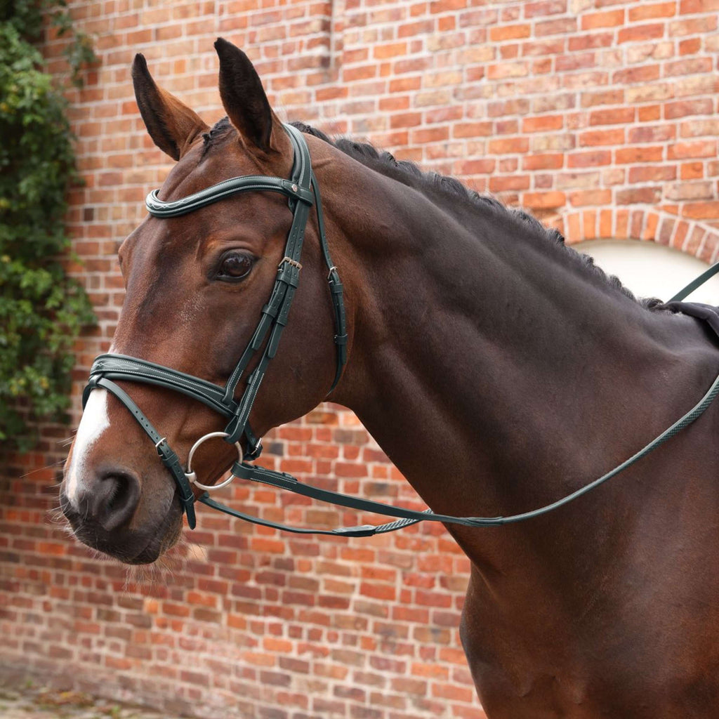 Velociti by Shires Redini Lusso Elite Pro SureGrip Nero