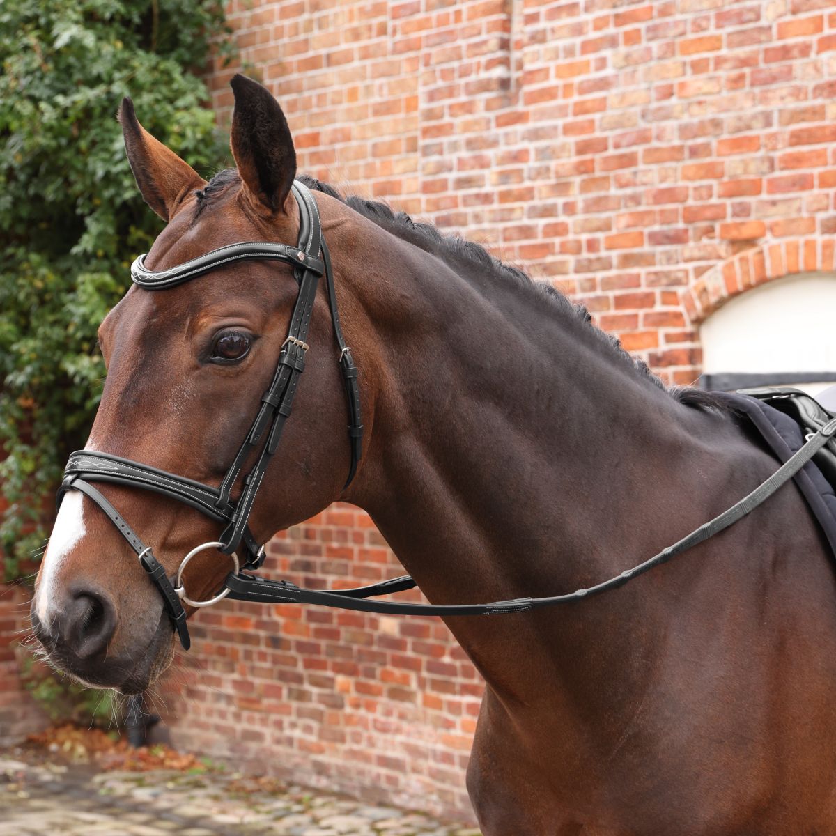 Velociti by Shires Redini Lusso Elite Pro SureGrip Nero
