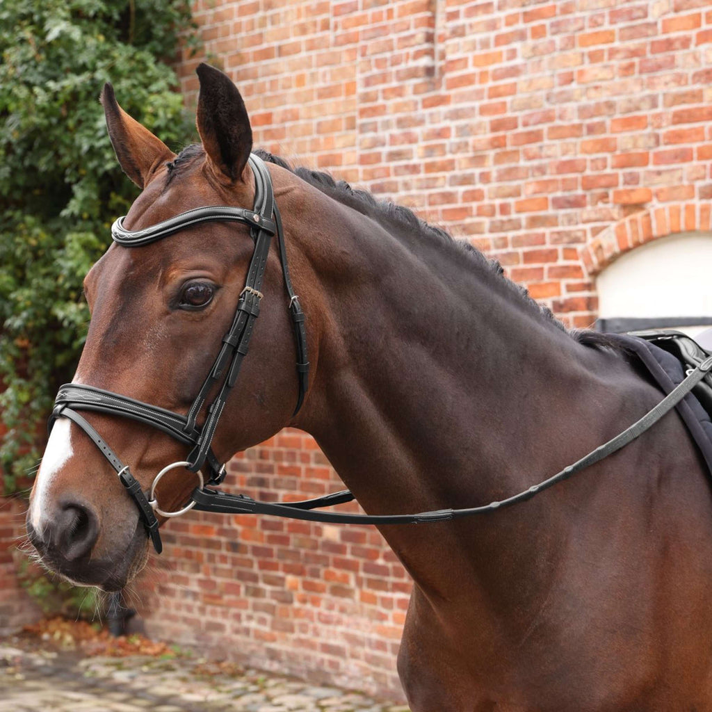 Velociti by Shires Redini Lusso Elite Pro SureGrip Nero