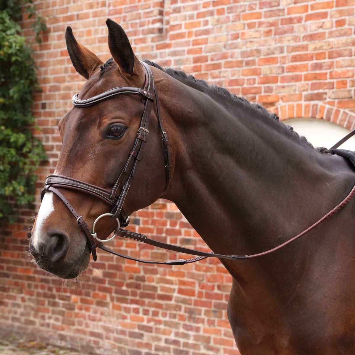 Velociti by Shires Redini Lusso Elite Pro SureGrip L'Avana