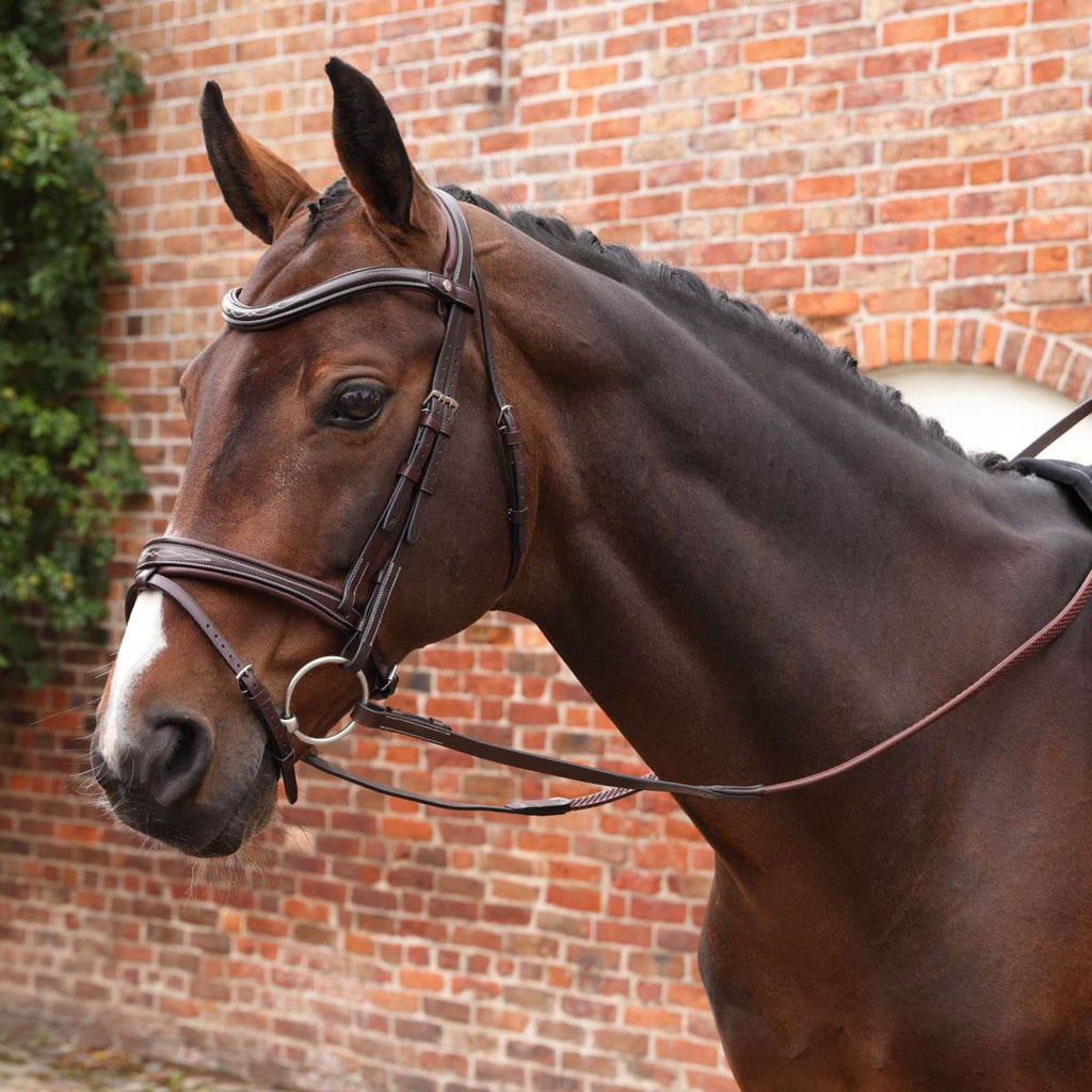 Velociti by Shires Redini Lusso Elite Pro SureGrip L'Avana
