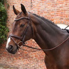 Velociti by Shires Redini Lusso Elite Pro SureGrip L'Avana
