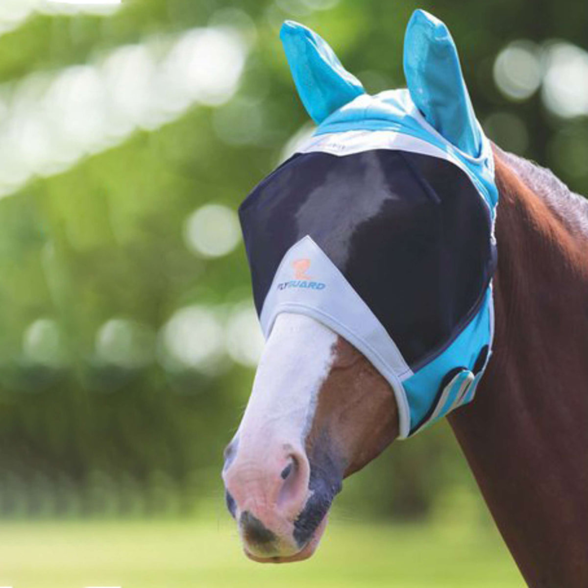 Shires Maschera Antimosche con Orecchie Teal