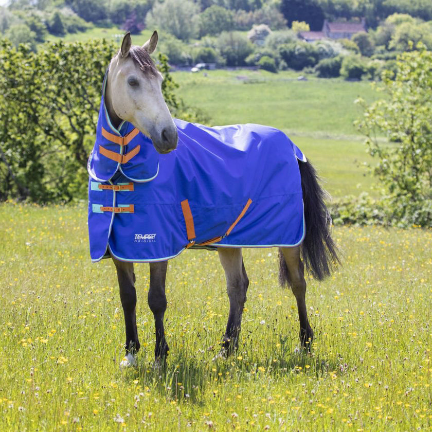 Tempest Original by Shires Coperta Invernale Turnout 50 Combo Royal