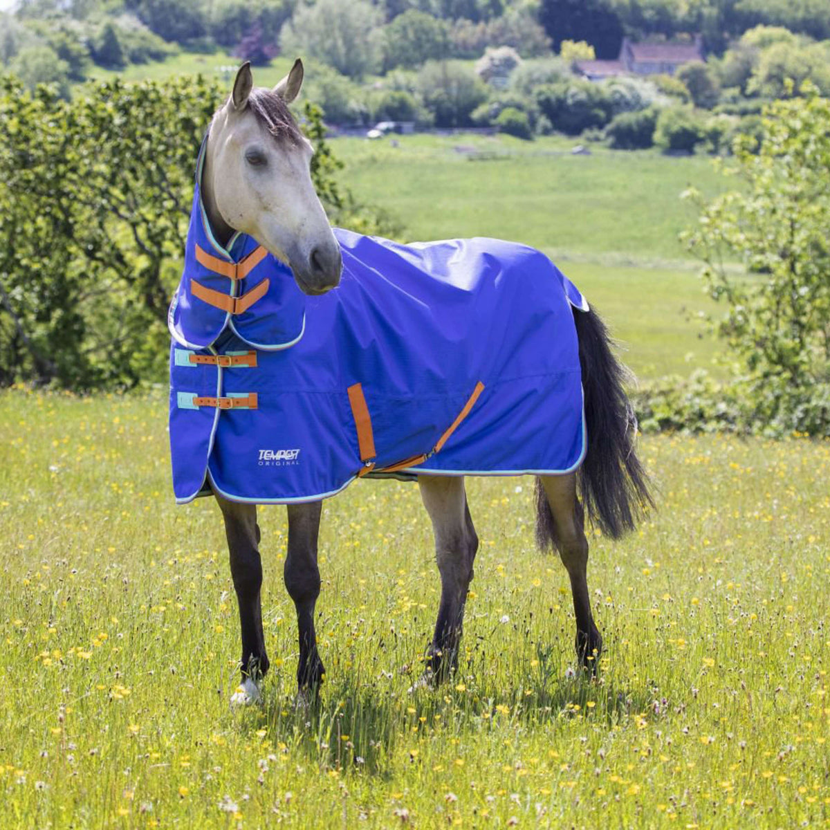 Tempest Original by Shires Coperta Invernale Turnout 50 Combo Royal